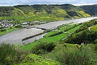 Ausblick von einer Anhöhe auf die Mosel, umgeben von Weinbergen, grüner Landschaft und sanften Hügeln